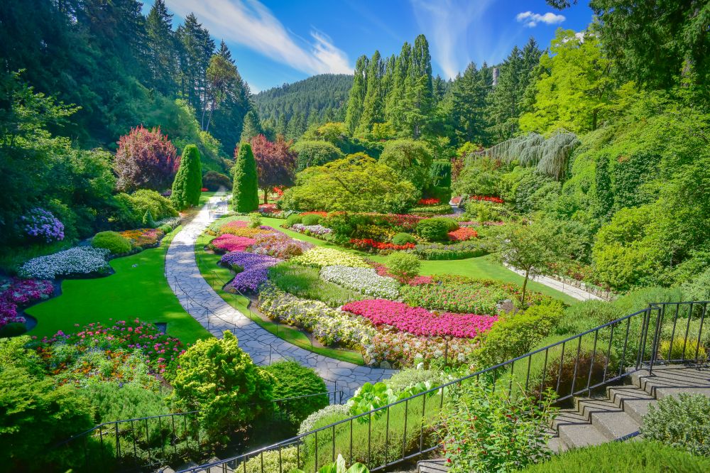 Lush planted garden with stone path and layered beds