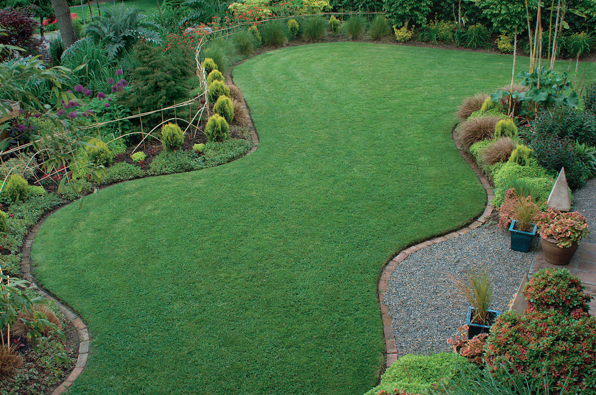 Mature planted garden with lawn