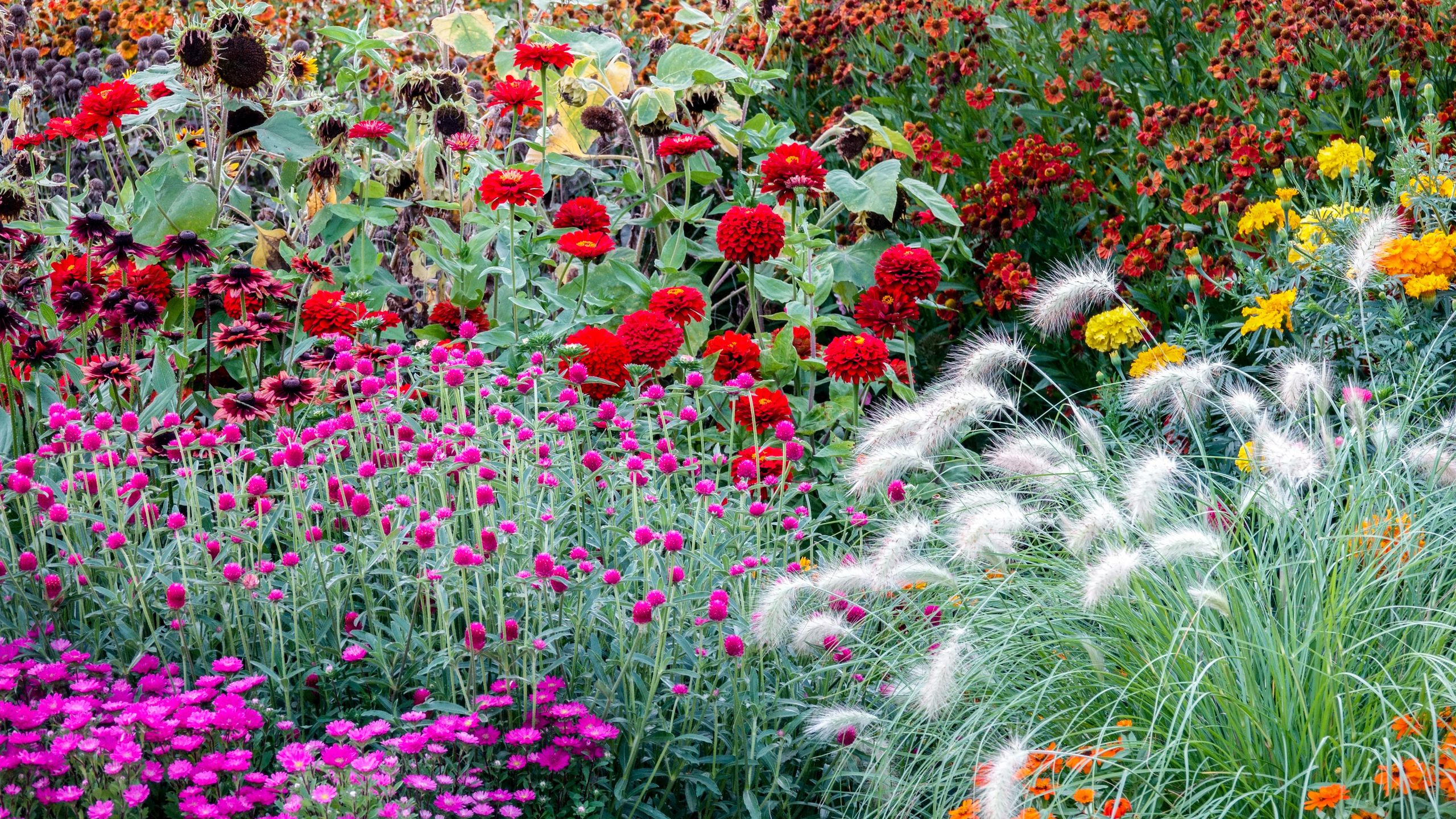 Landscaped garden with lawn and beds