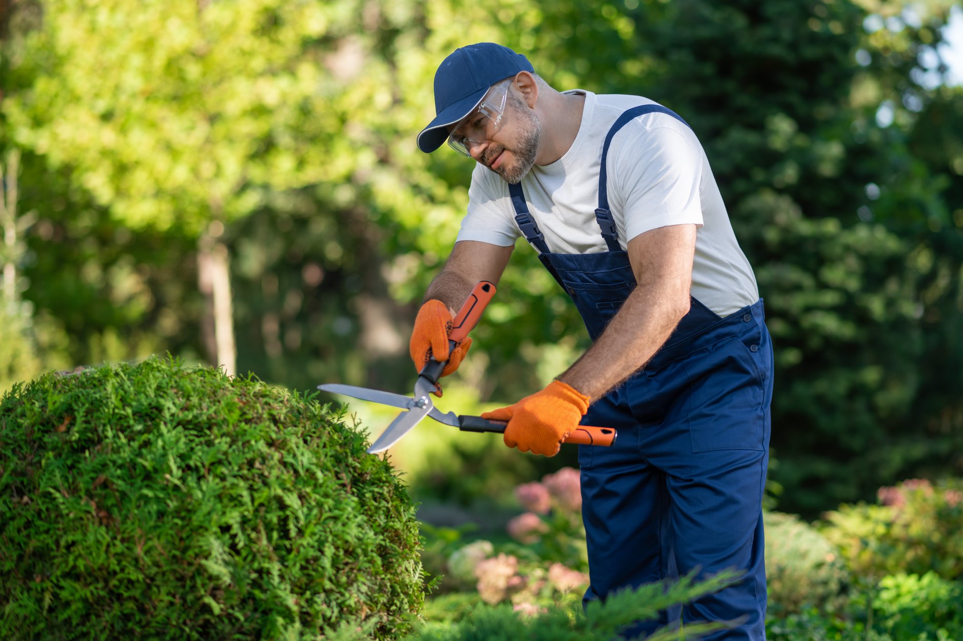 Blossom Landscaping crew at work in a Vancouver garden