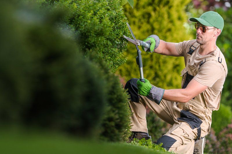Landscaped garden by Blossom Landscaping, Vancouver