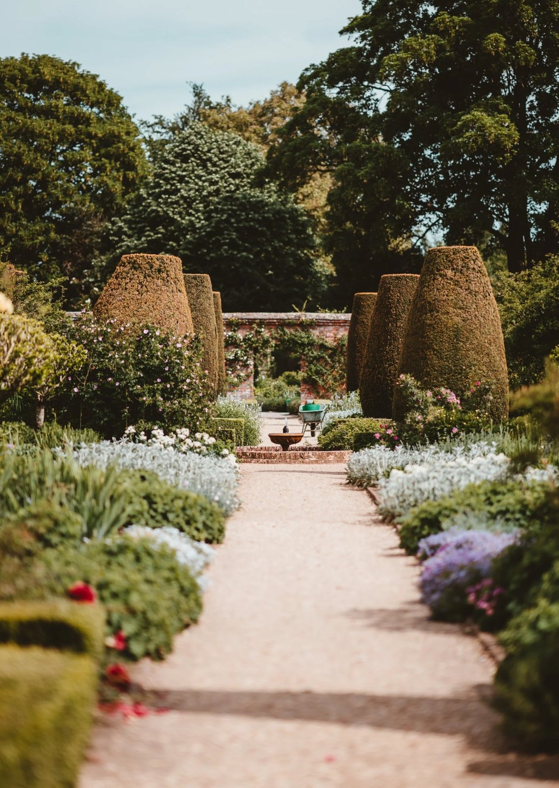 Formal garden path with clipped hedges and layered planting beds