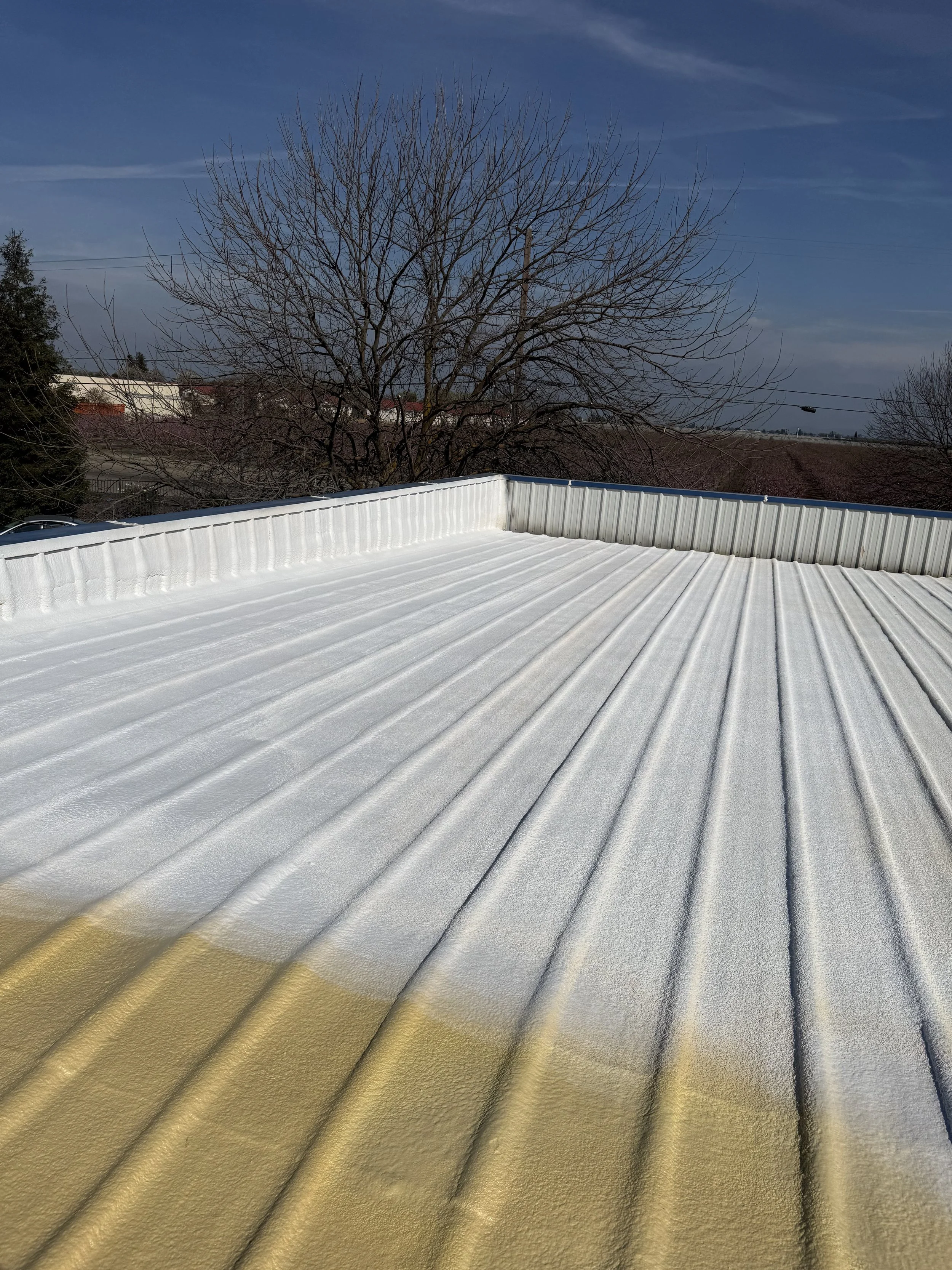 Roofing crew on a commercial roof