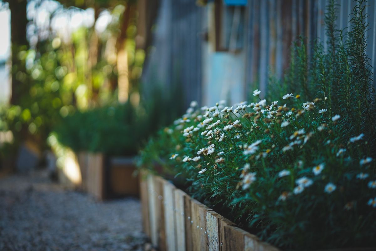 Garden planting detail