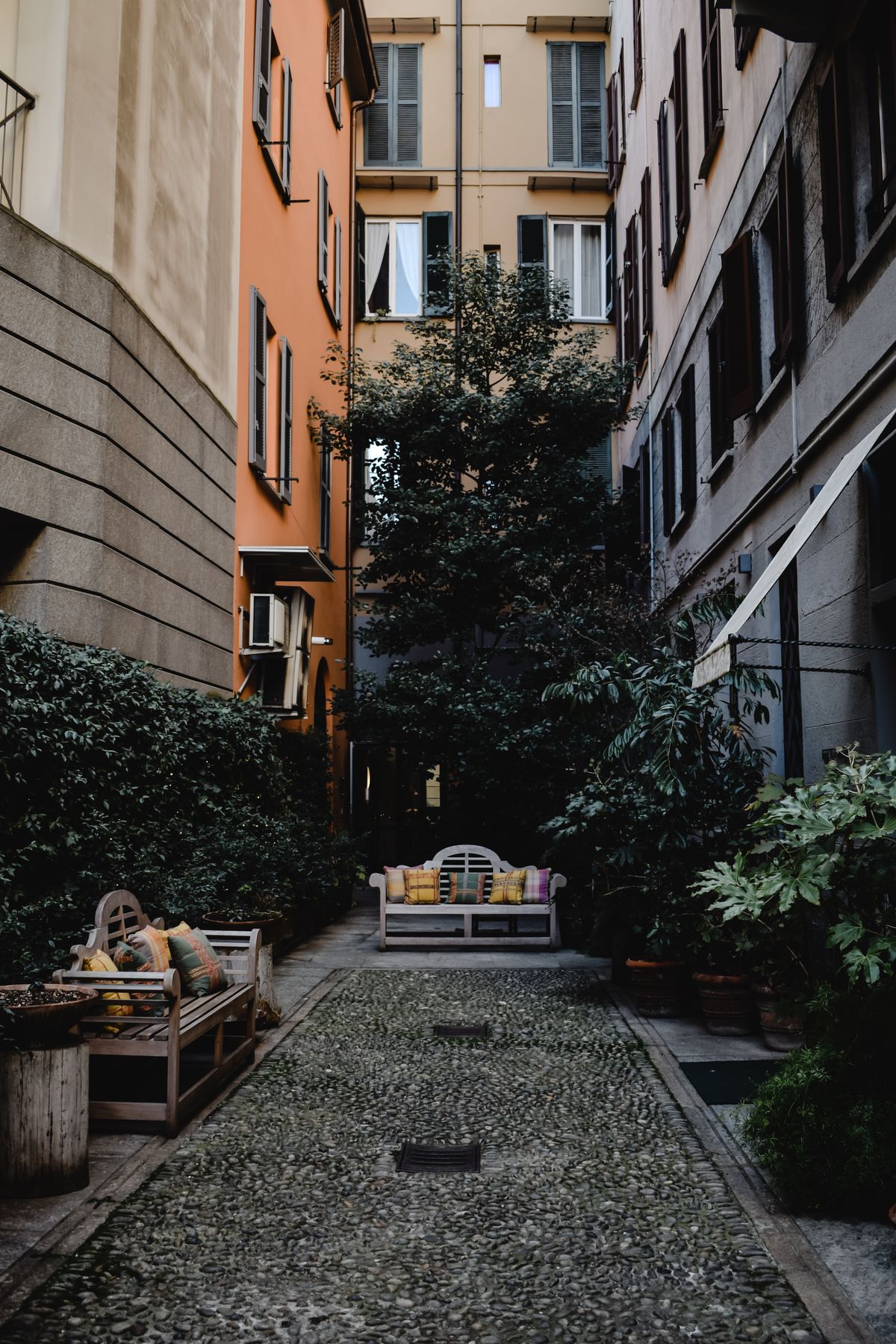Garden beds and lawn