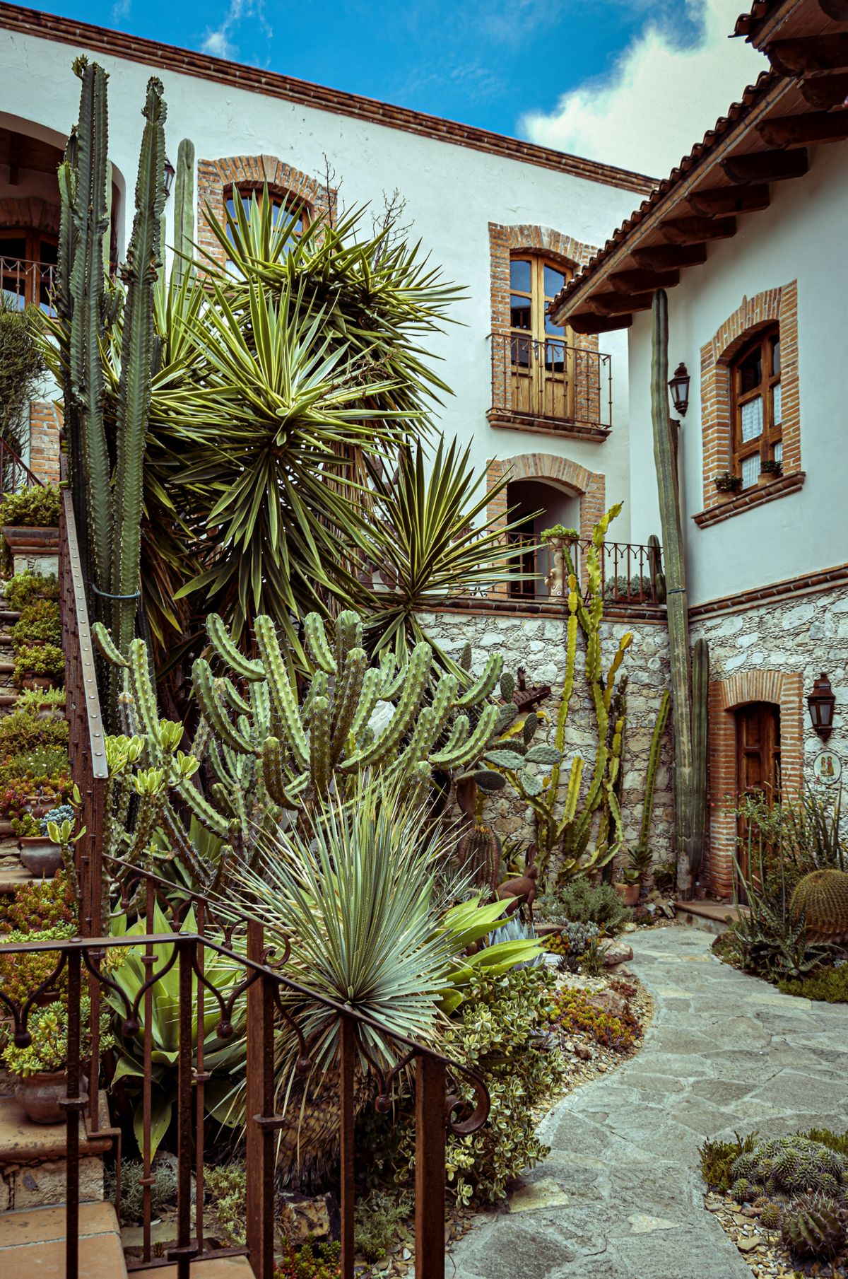 Planted garden with house