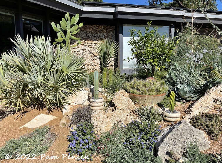 Native Texas xeric garden with stone edging and layered planting