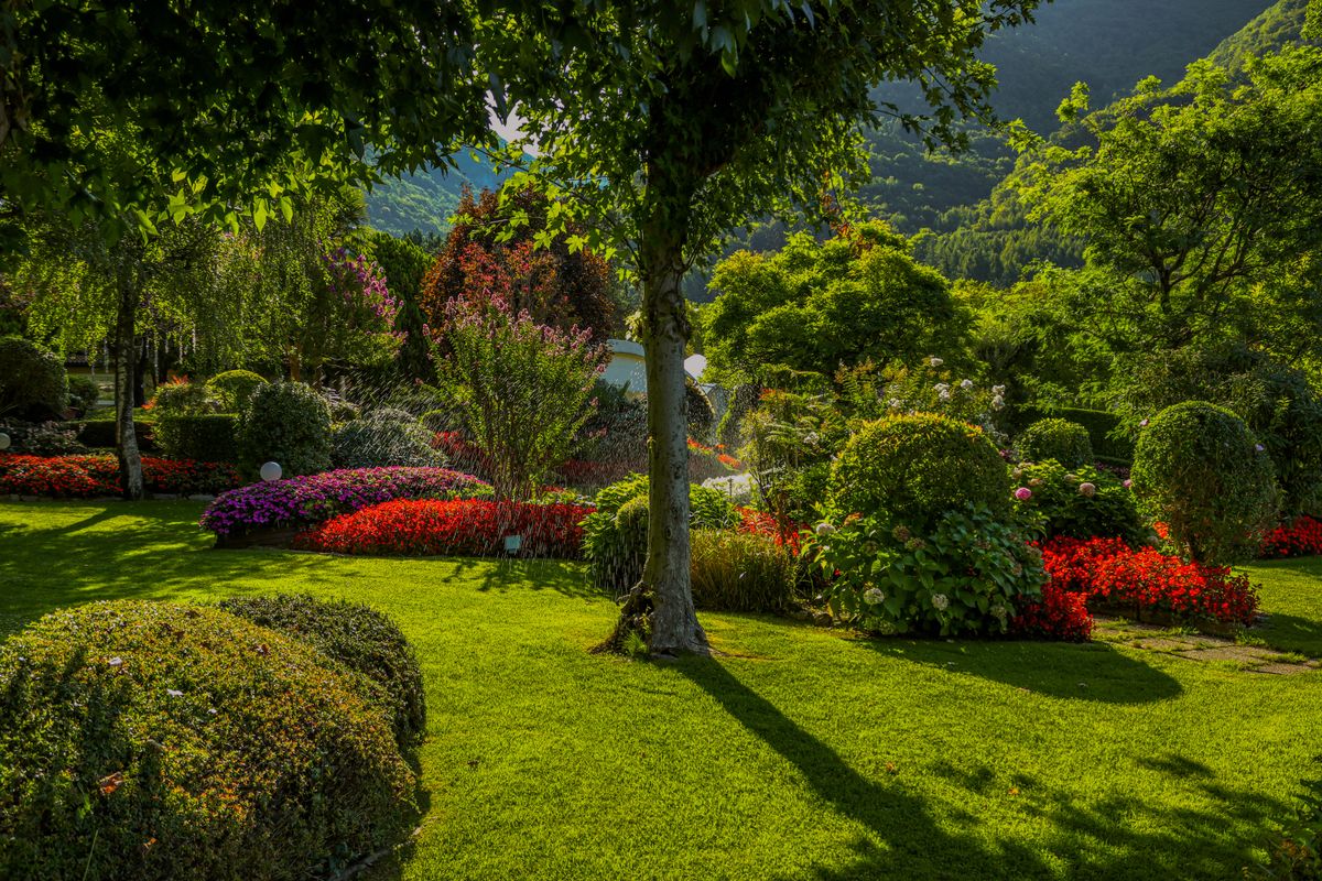 Lush summer garden with layered flower beds