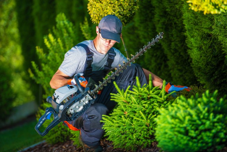 Hedge trimming in progress