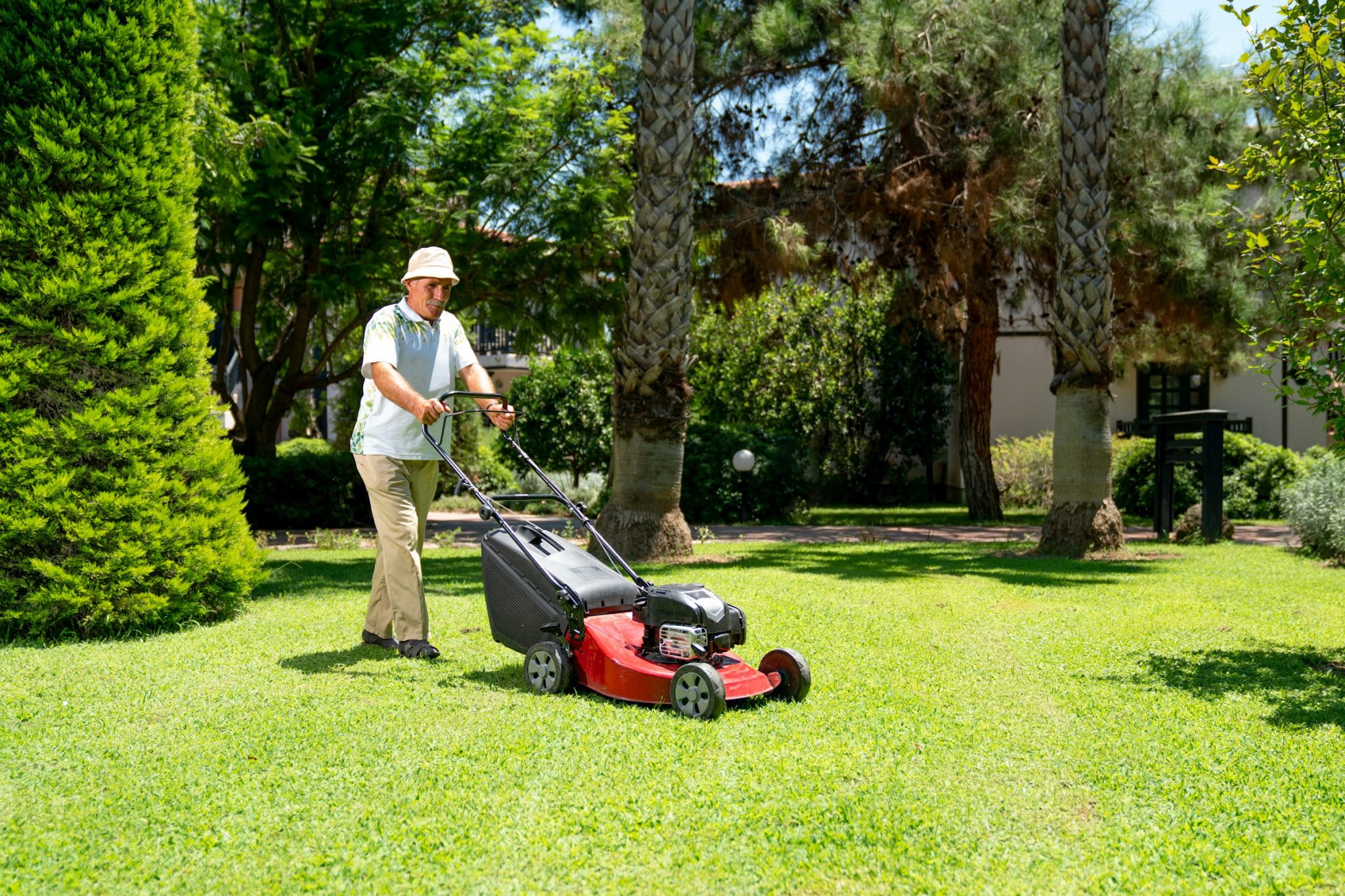 Freshly mown lawn with neat edges