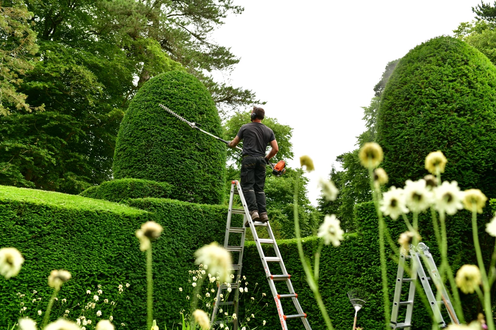 Garden maintenance in progress