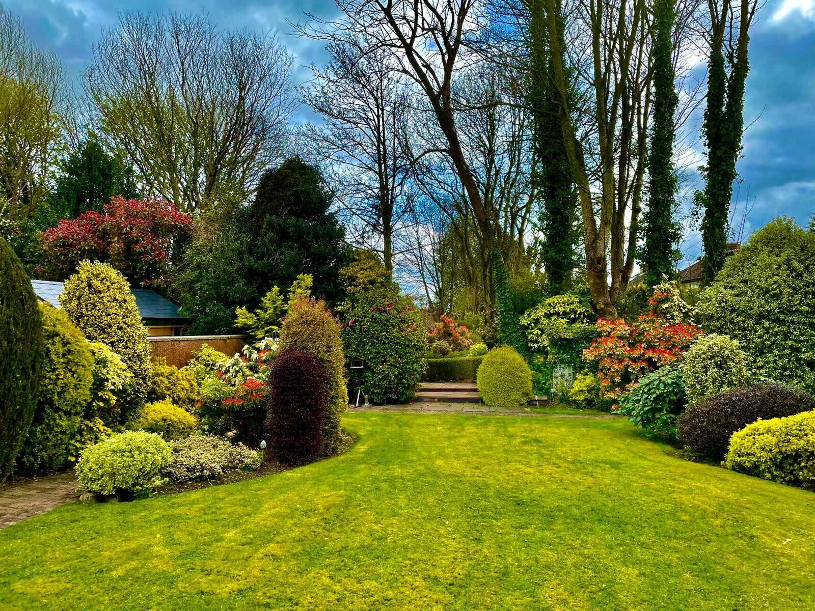Landscaped back garden