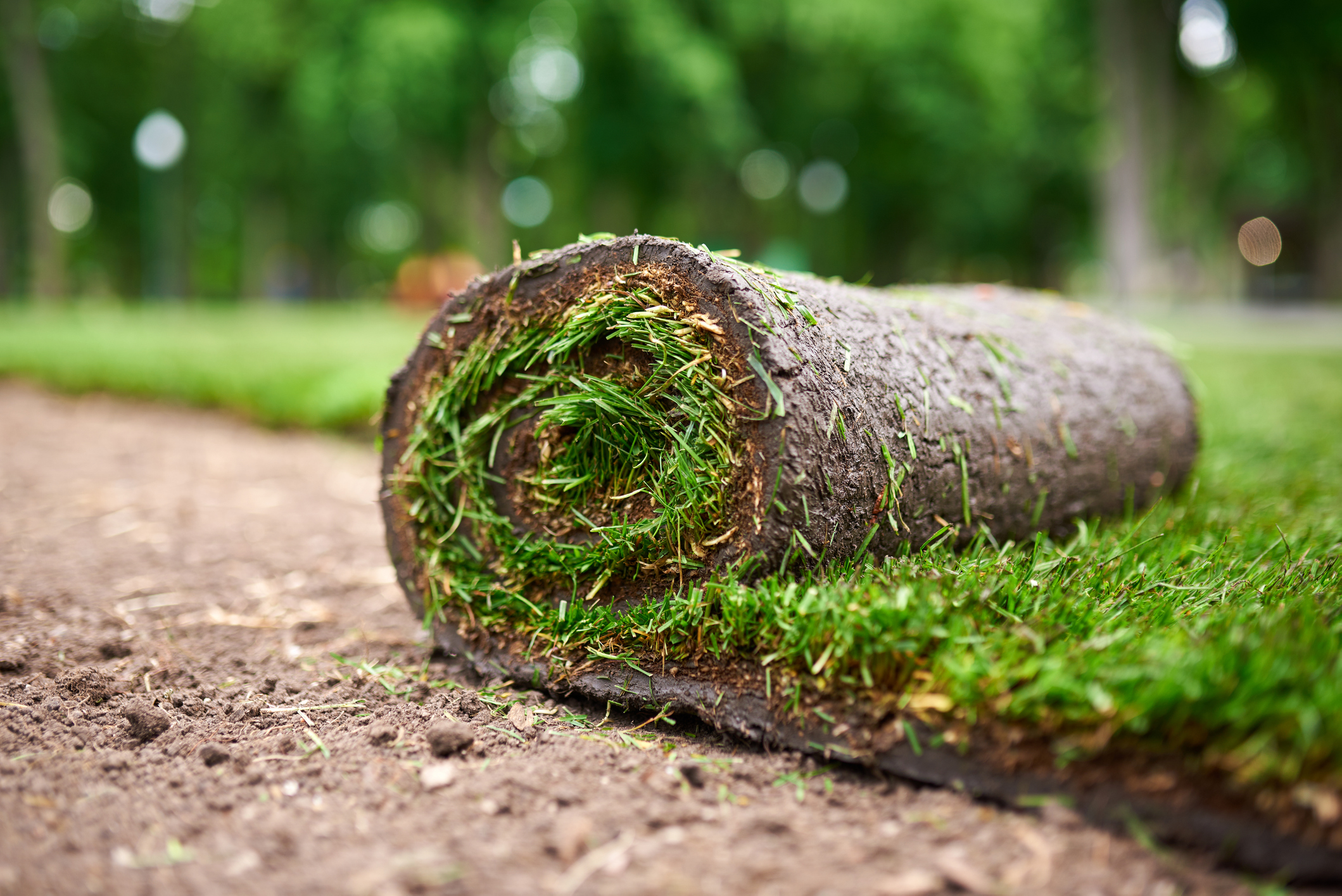 Fresh turf rolls ready to lay
