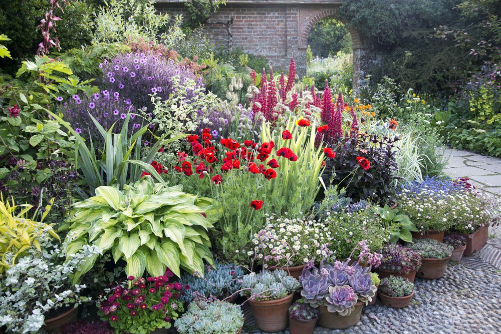 Garden room surrounded by planting