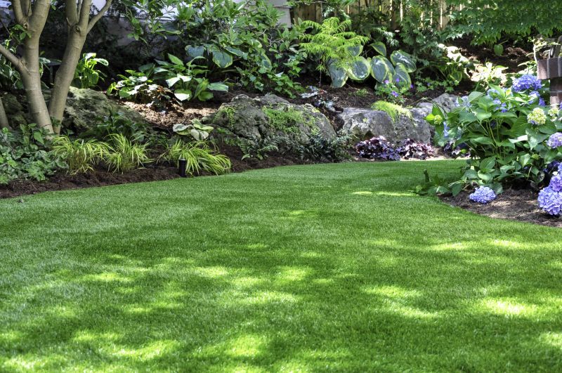 New lawn landscaping