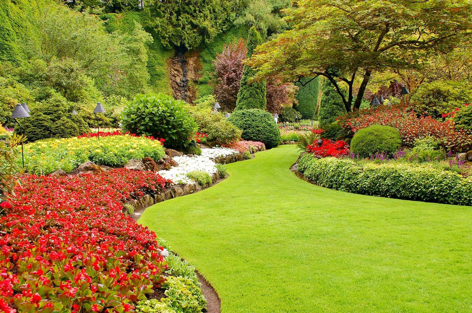 Lush planted courtyard garden with layered flower beds