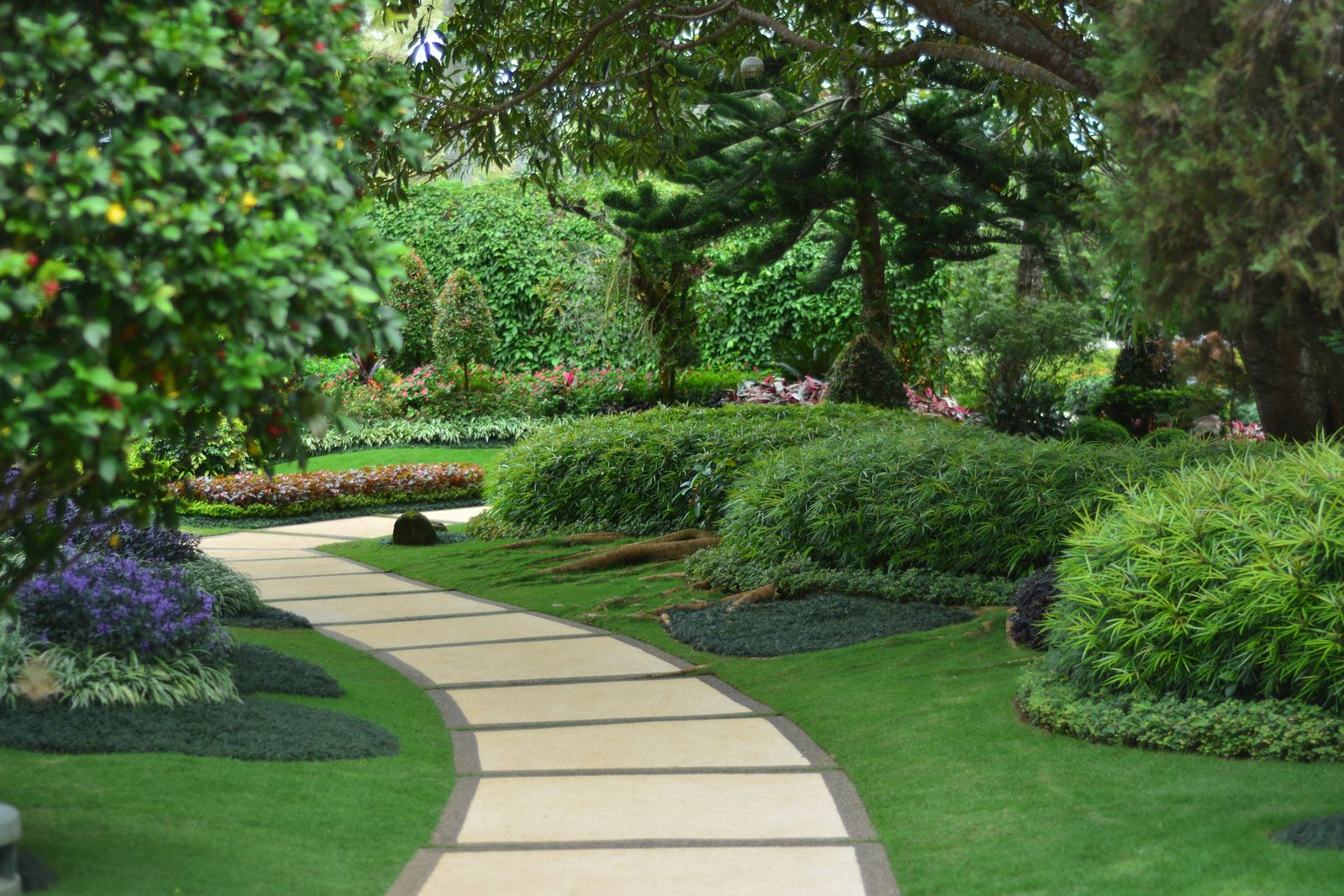 Garden path preview
