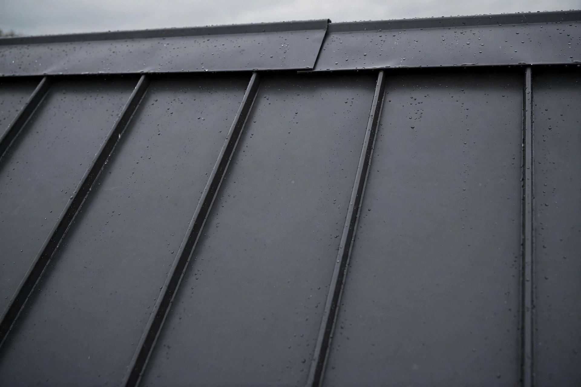 Standing seam metal roof detail