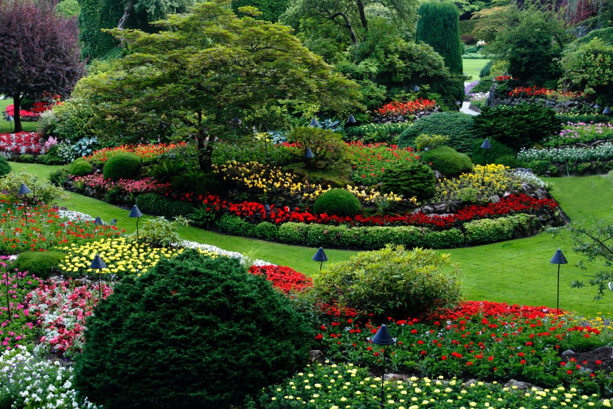 Landscaped garden with layered planting beds in Calgary