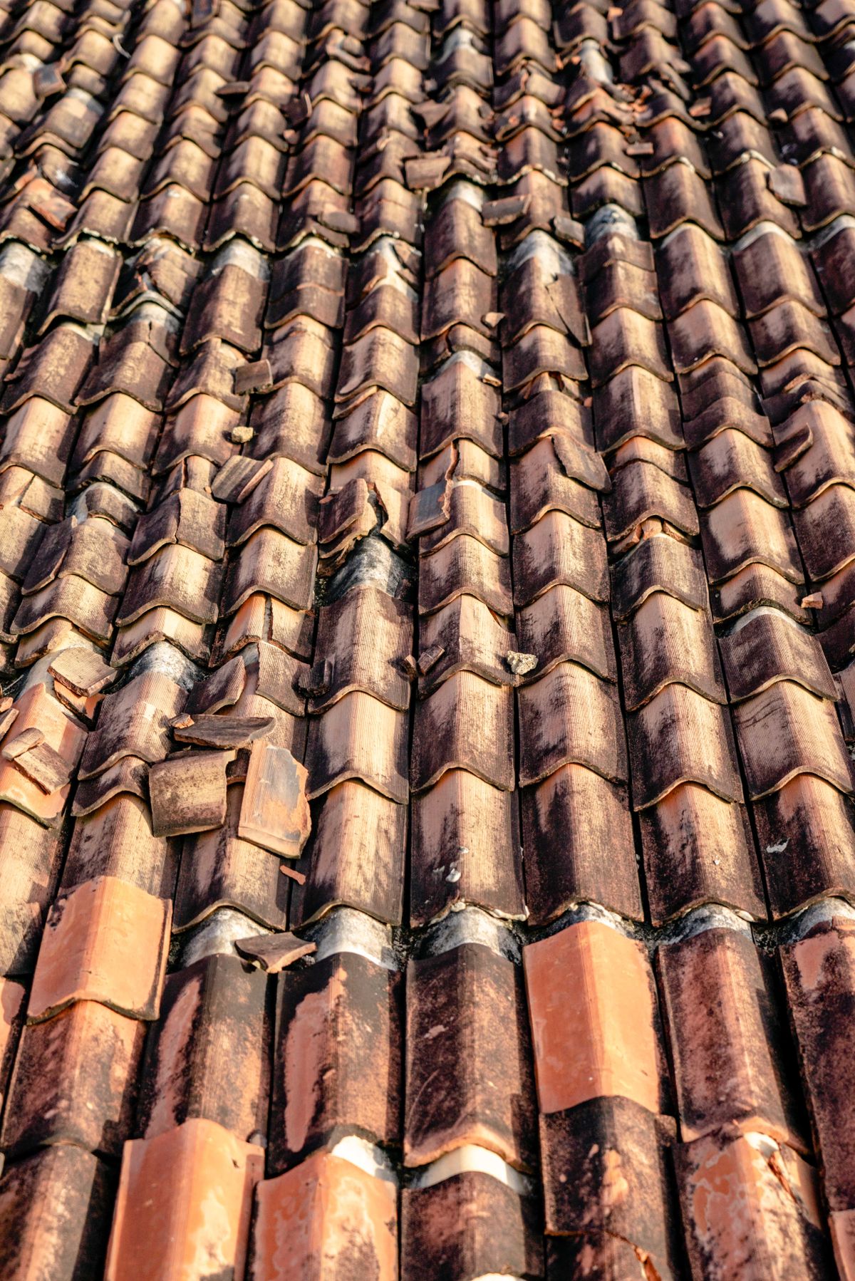 Weathered and damaged roof tiles