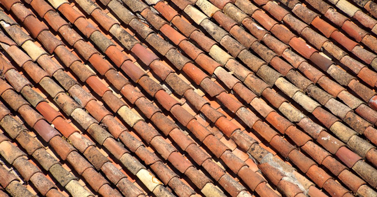 Terracotta roof tiles