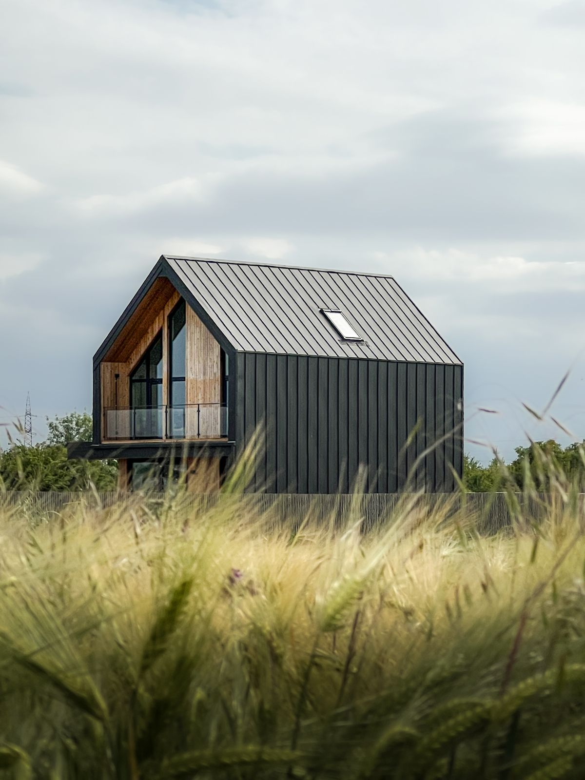 Modern house with metal roof