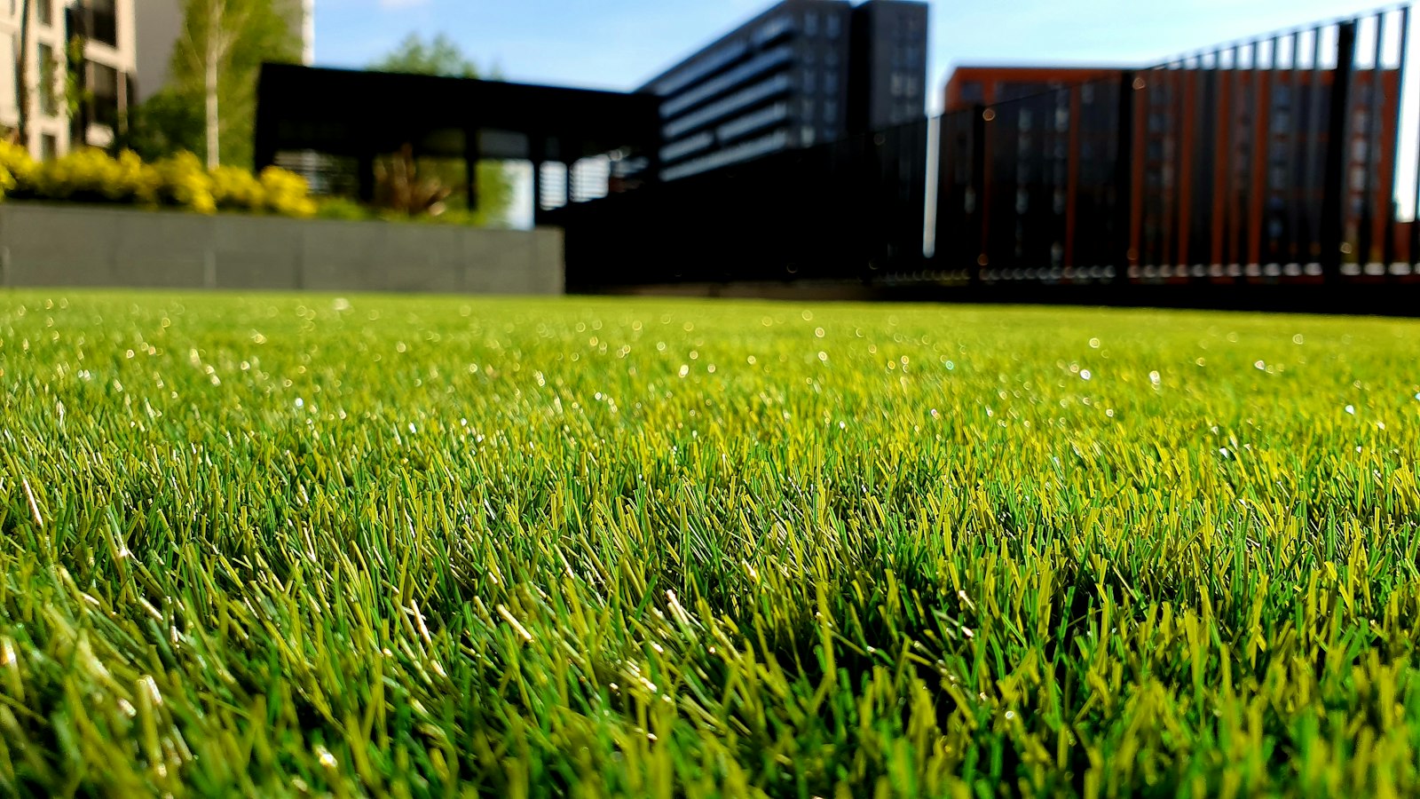 Close-up of artificial turf (sample image)