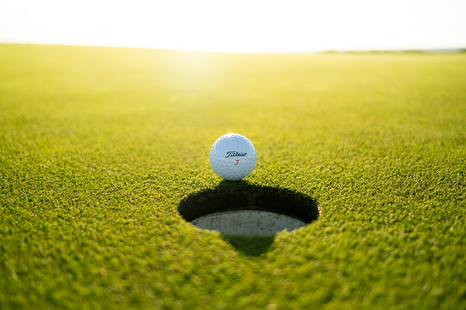 Backyard putting green with cup (sample image)