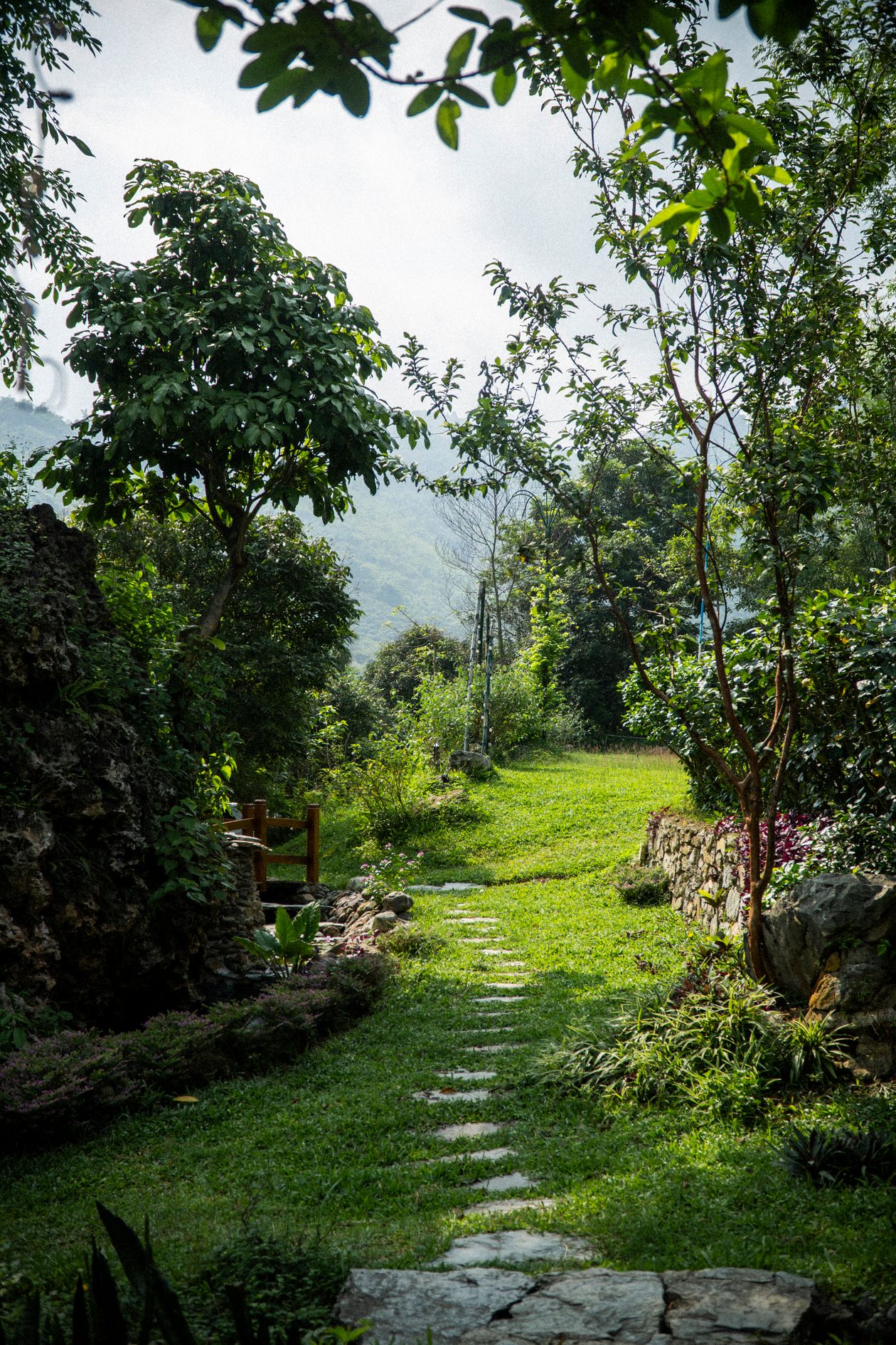 Stepping-stone footpath through a planted garden