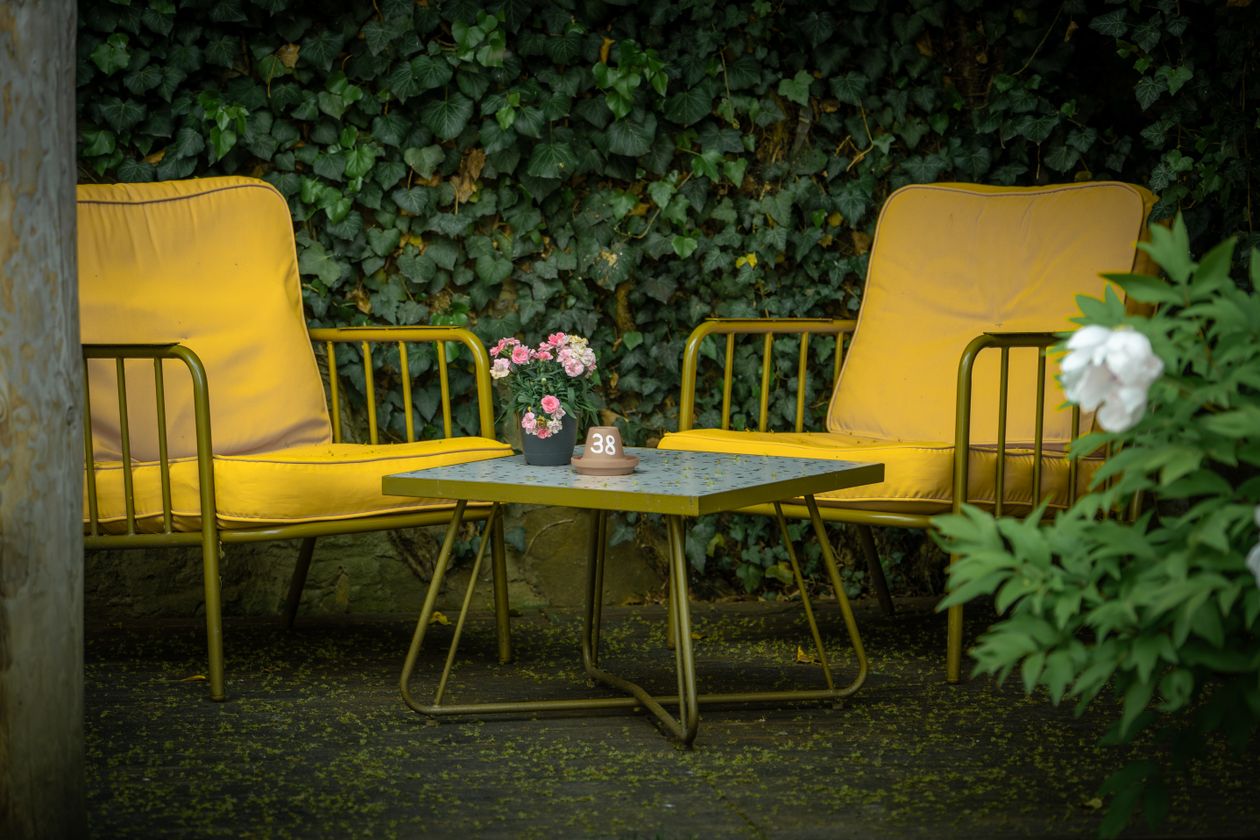 Patio seating surrounded by garden greenery