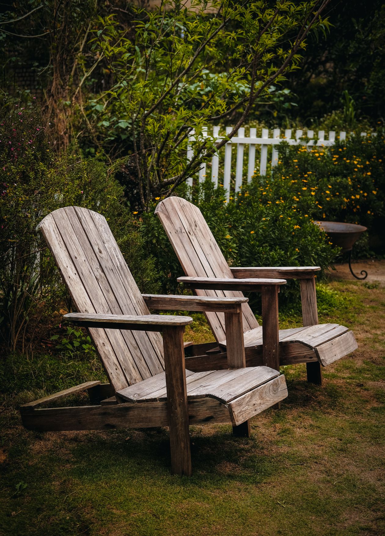 Wooden lounge chairs in a planted garden with a white picket fence