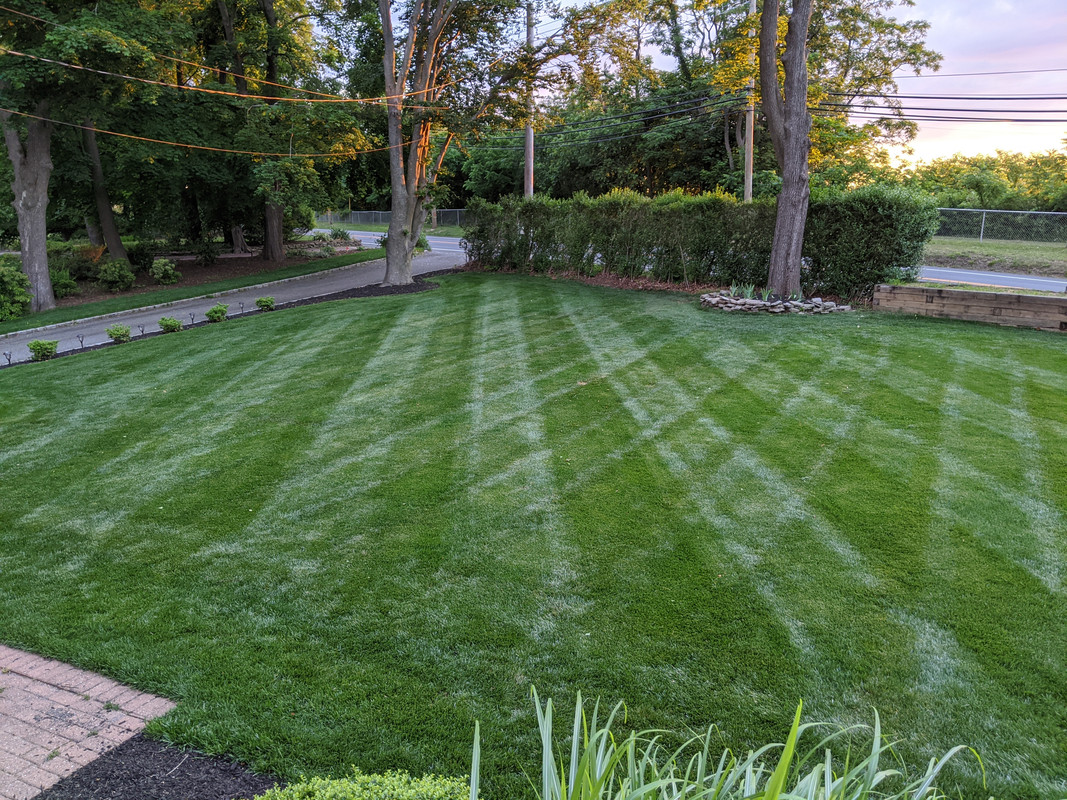 Striped lawn at dusk