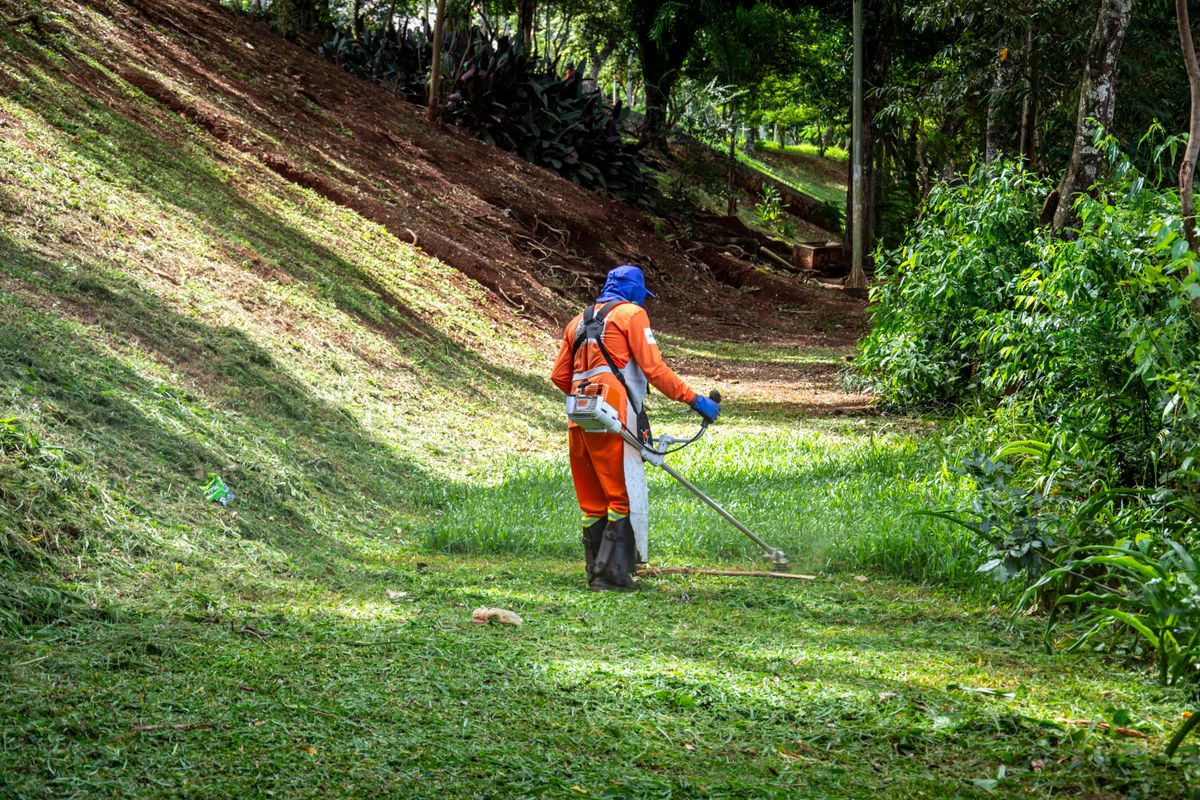 VK crew member trimming an overgrown bank in Wellington